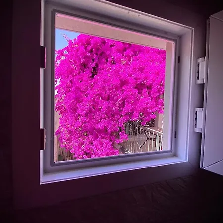 Le Dimore In Piazzetta Πανσιόν