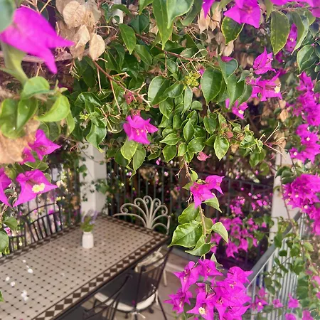 Le Dimore In Piazzetta Πανσιόν 4*