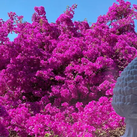 Le Dimore In Piazzetta Gasthuis